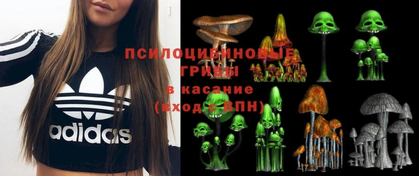 СК Михайлов